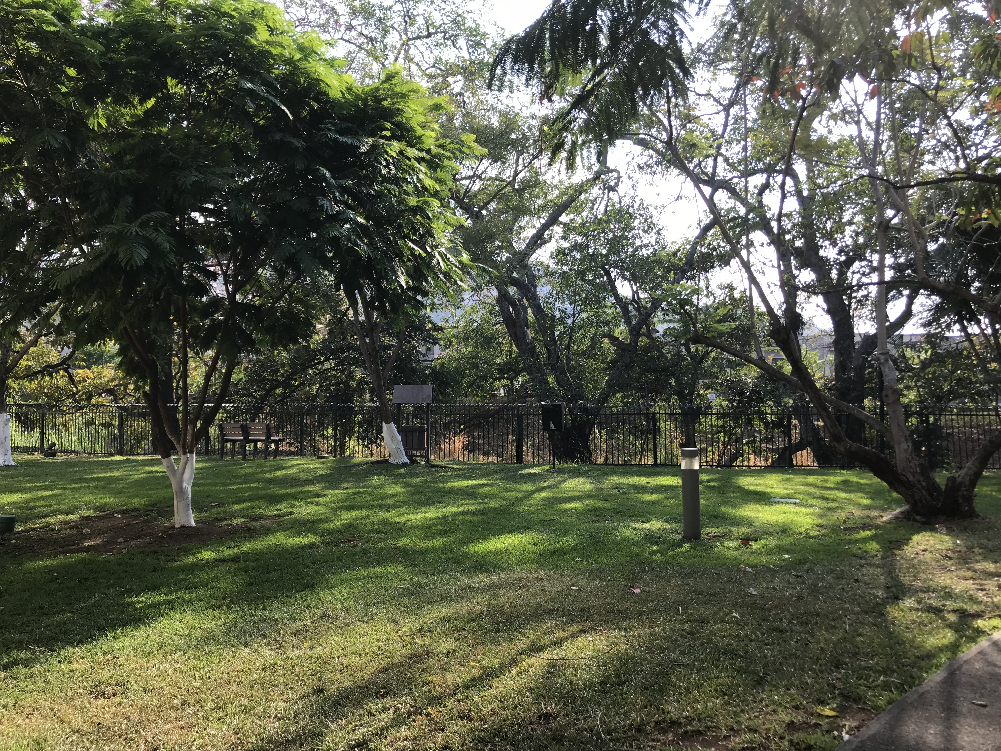 1 bed Apartment For Sale in Santa Ana, San Jose - thumb 11
