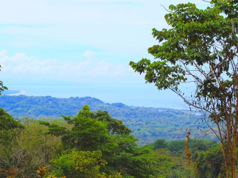 0 bed Land For Sale in Ojochal, Puntarenas - 1