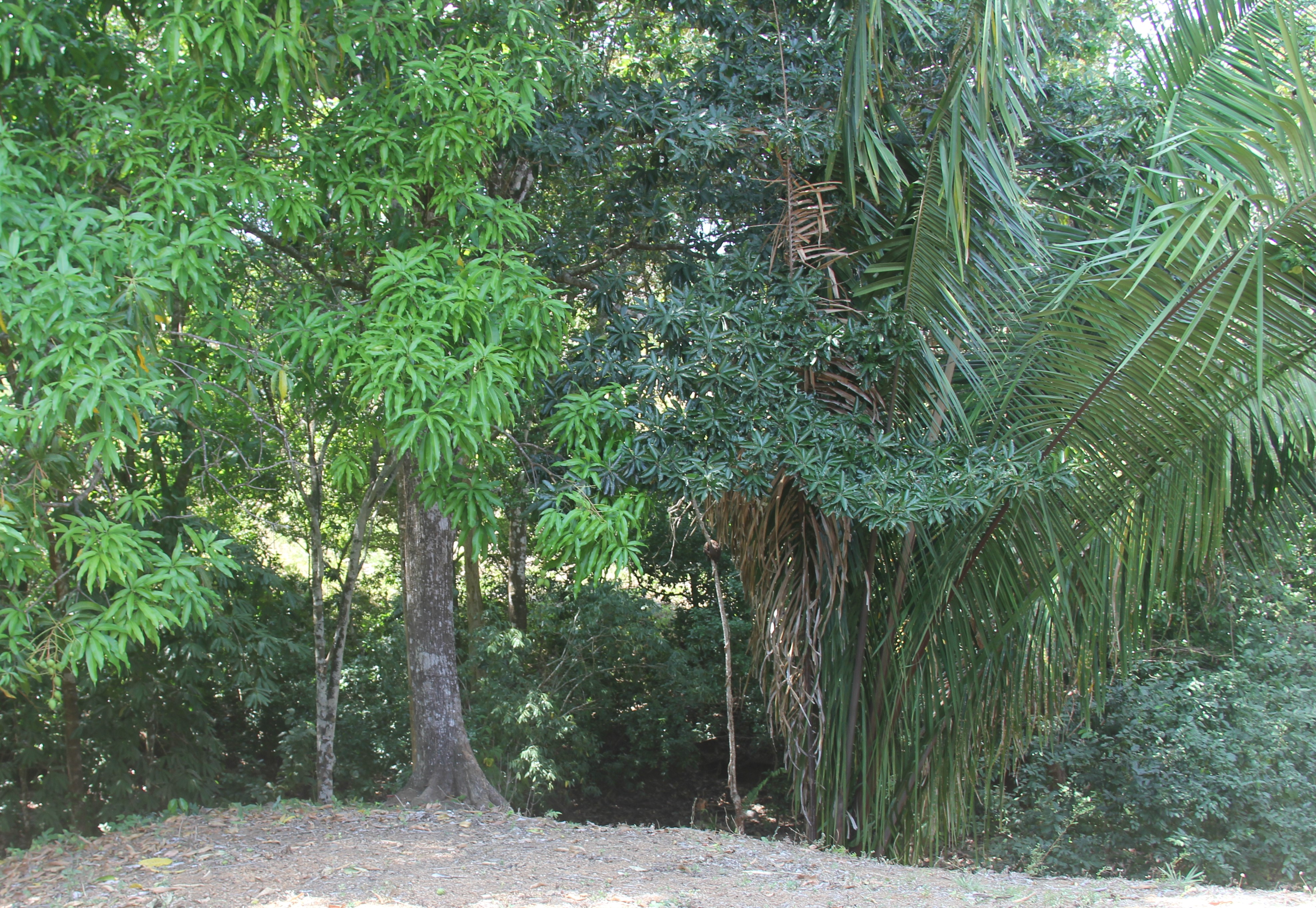 3 bed Single Family Homes For Sale in Playa Carrillo, Guanacaste - thumb 26