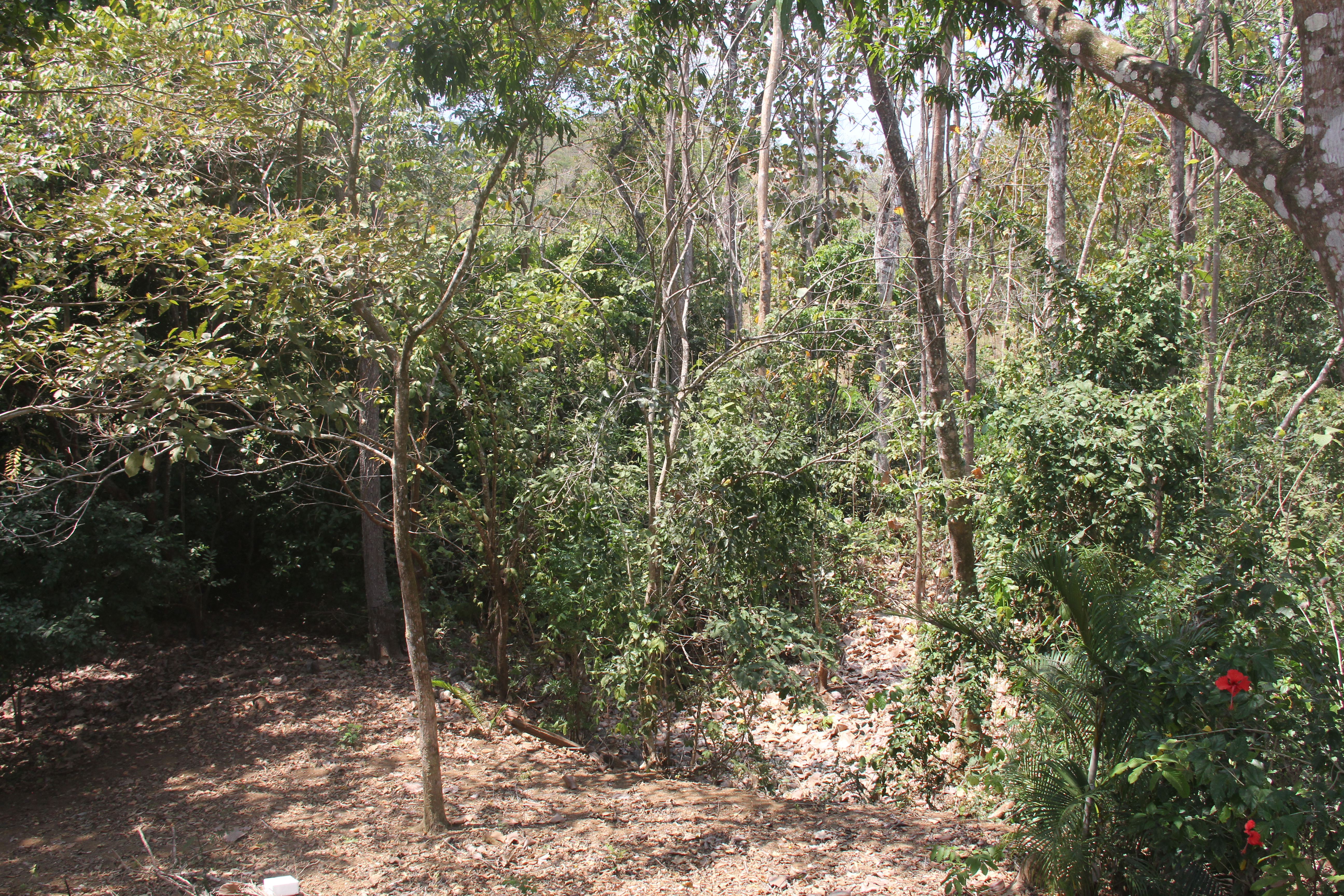 3 bed Single Family Homes For Sale in Playa Carrillo, Guanacaste - thumb 25