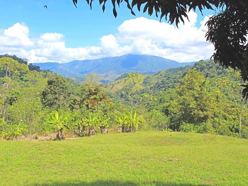 0 bed Land For Sale in Dominical, Puntarenas - 1