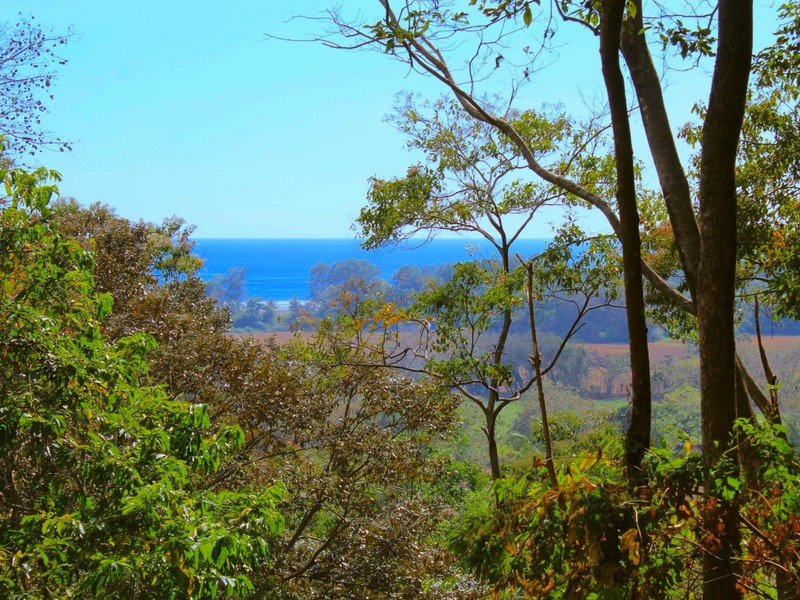 0 bed Land For Sale in Dominical, Puntarenas - 1