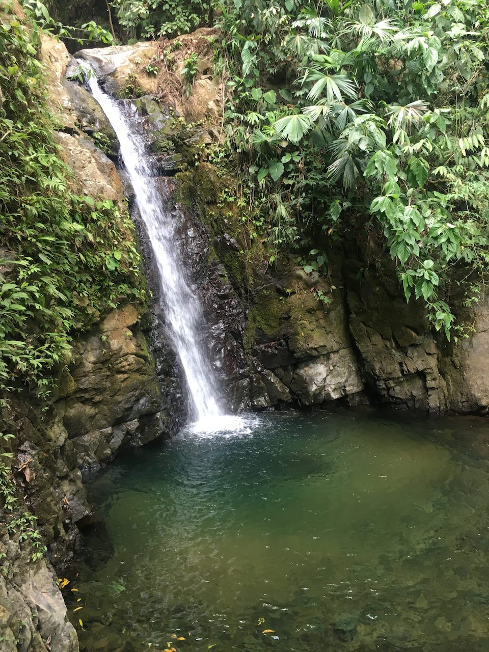 matt_waterfall.JPG