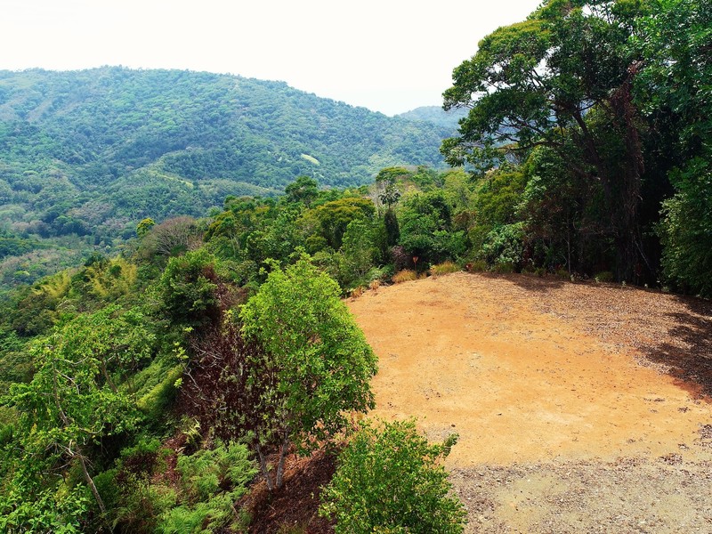 0 bed Land For Sale in Dominical, Puntarenas - 1