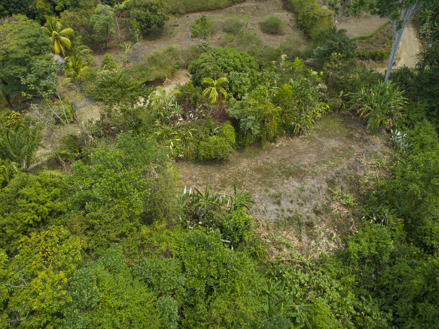 0 bed Land For Sale in Ojochal, Puntarenas - thumb 22