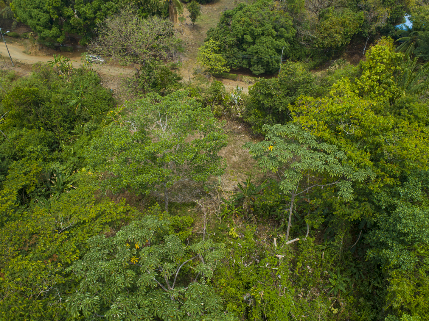 0 bed Land For Sale in Ojochal, Puntarenas - thumb 17
