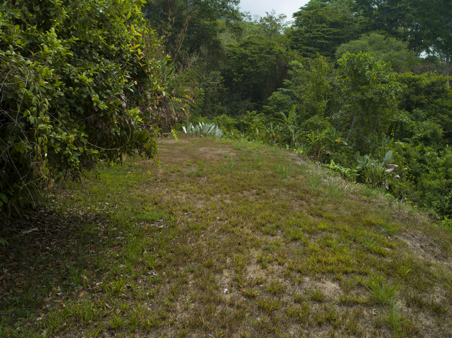 0 bed Land For Sale in Ojochal, Puntarenas - thumb 23
