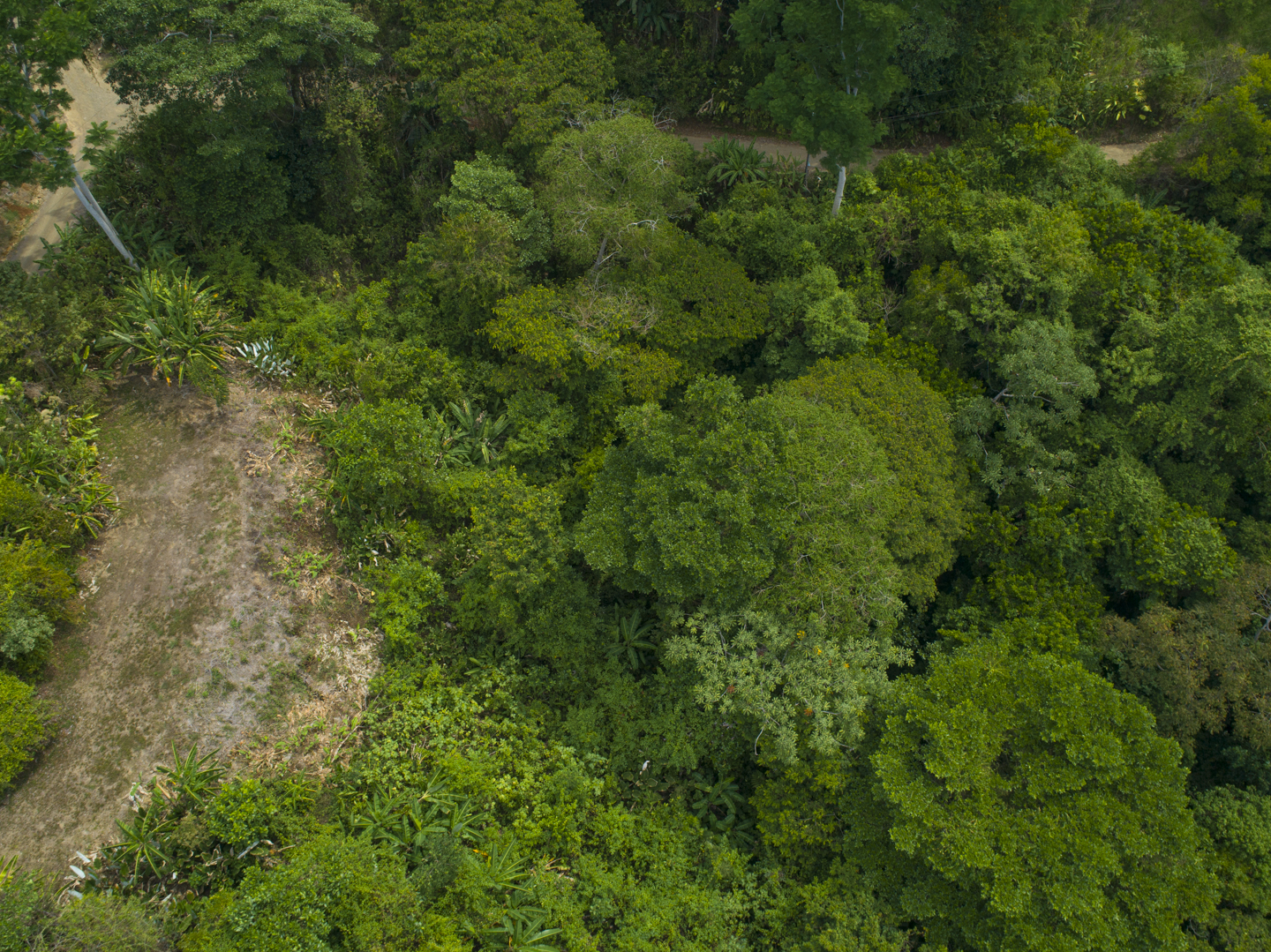 0 bed Land For Sale in Ojochal, Puntarenas - thumb 16
