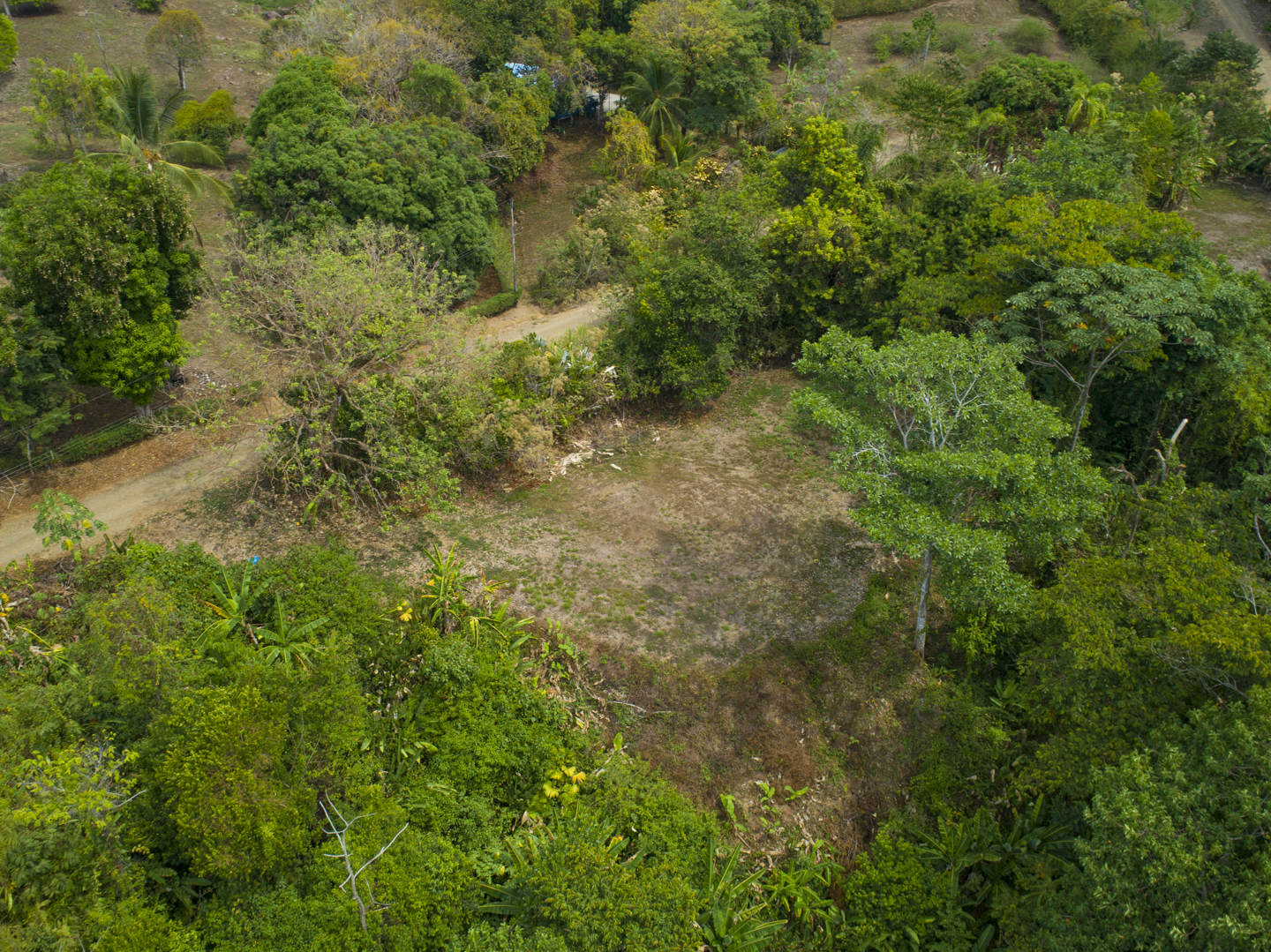 0 bed Land For Sale in Ojochal, Puntarenas - thumb 21