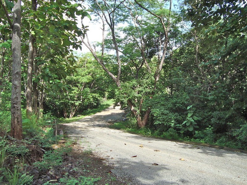 0 bed Land For Sale in Tamarindo, Guanacaste - thumb 11