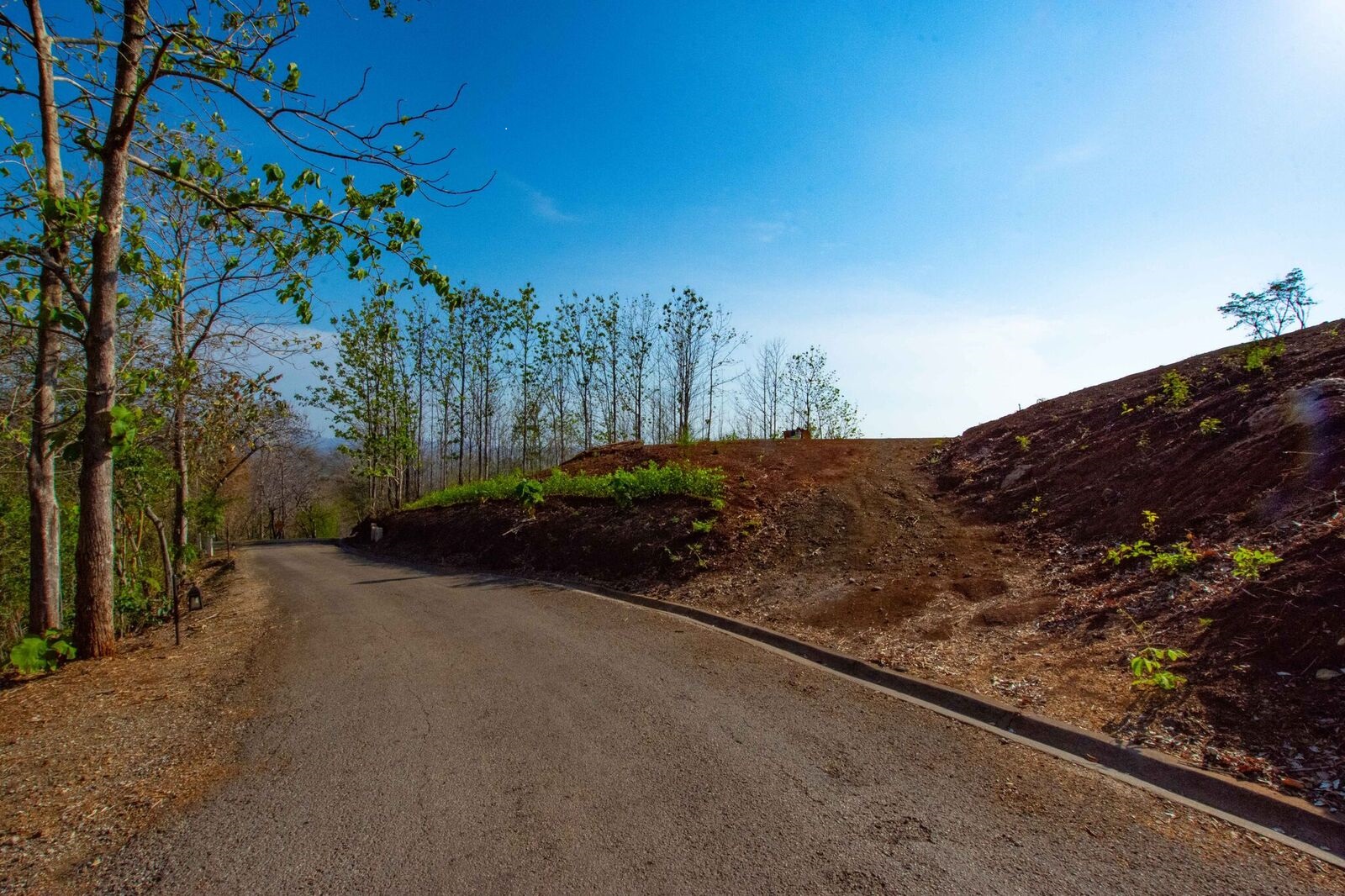 0 bed Land For Sale in Tamarindo, Guanacaste - thumb 17