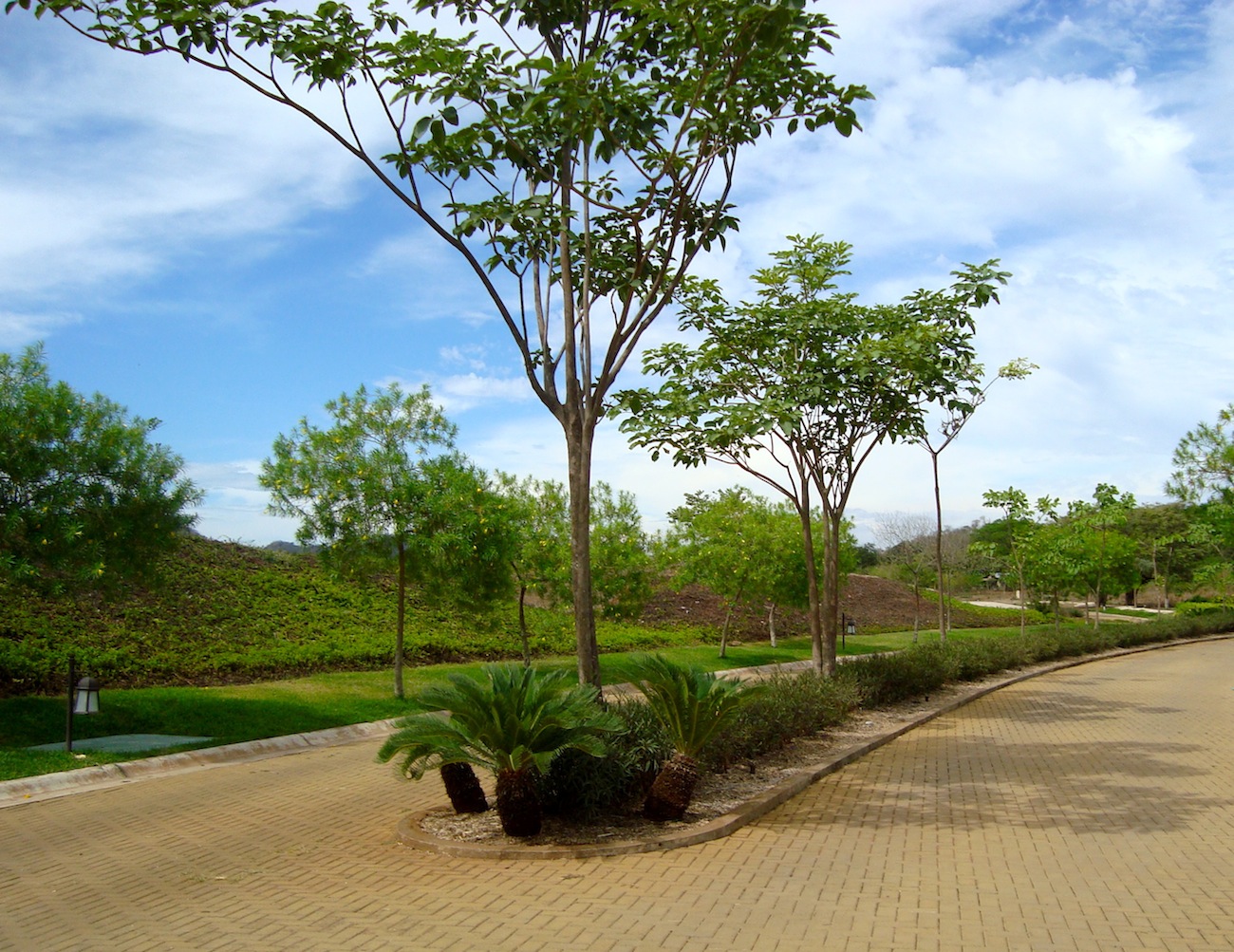 0 bed Land For Sale in Tamarindo, Guanacaste - thumb 12