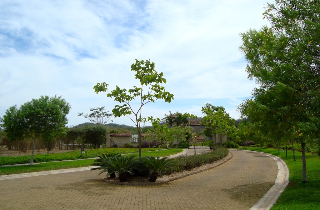 0 bed Land For Sale in Tamarindo, Guanacaste - thumb 7