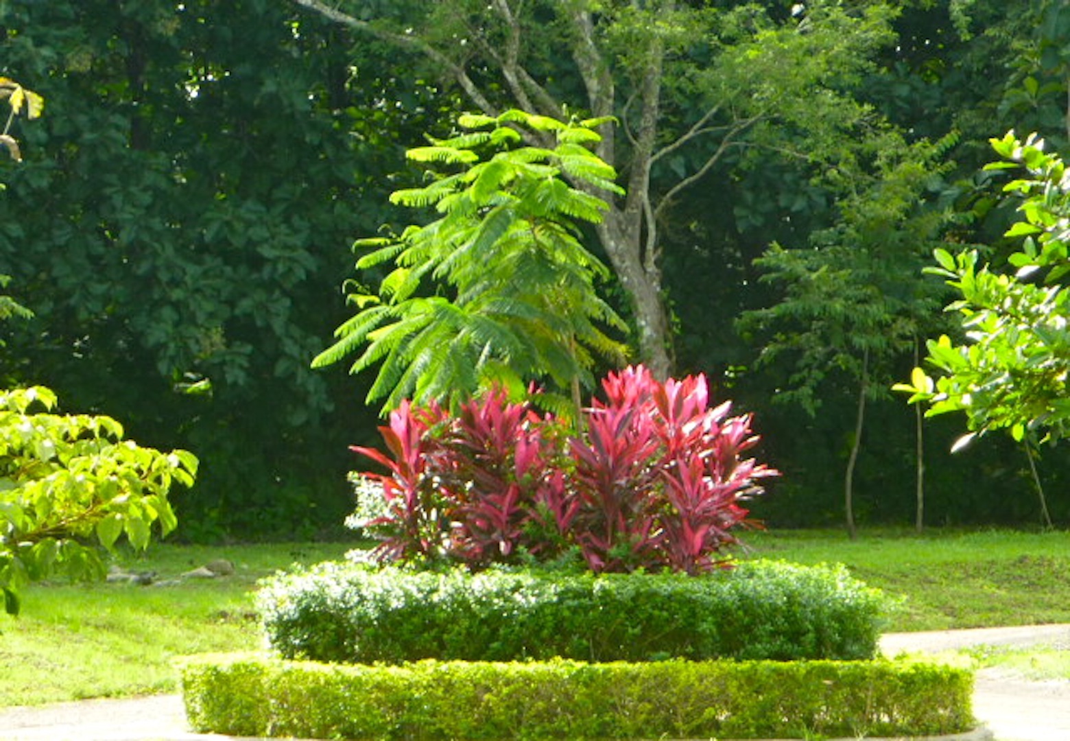 0 bed Land For Sale in Tamarindo, Guanacaste - thumb 3