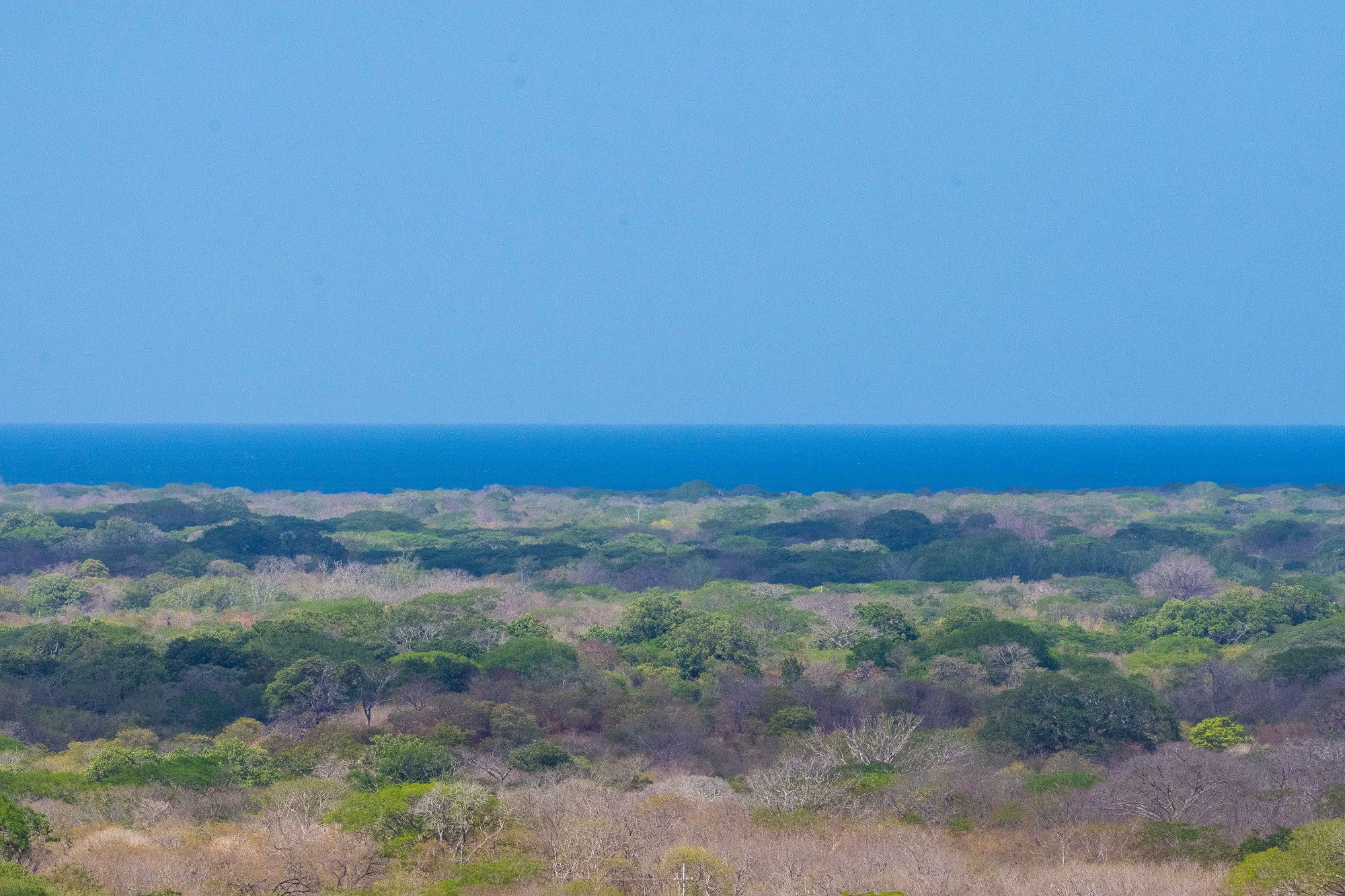 0 bed Land For Sale in Tamarindo, Guanacaste - thumb 21