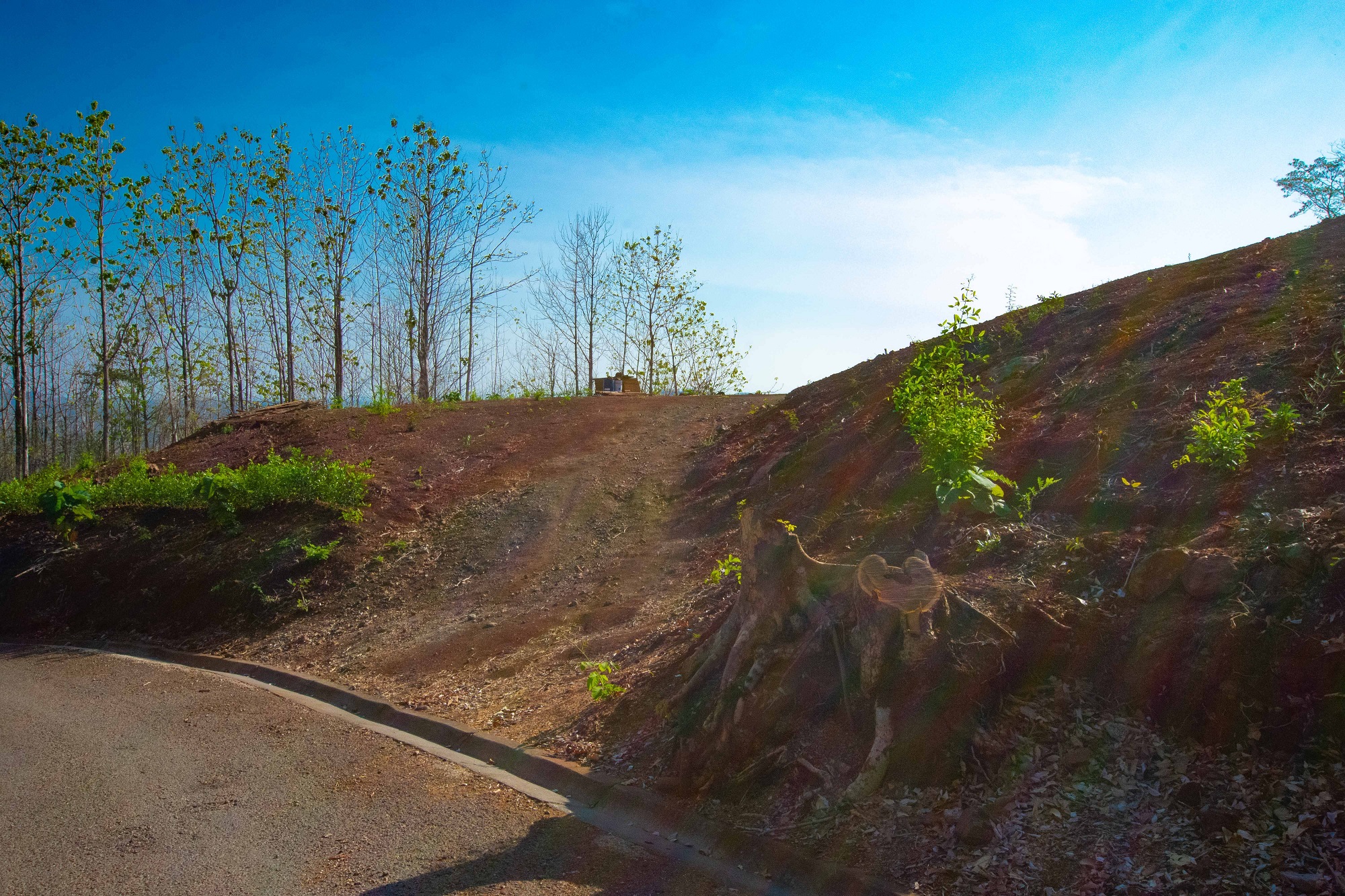 0 bed Land For Sale in Tamarindo, Guanacaste - thumb 26