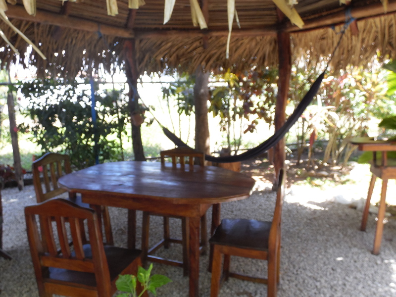 5 bed Hotel / Leisure For Sale in Samara, Guanacaste - thumb 4