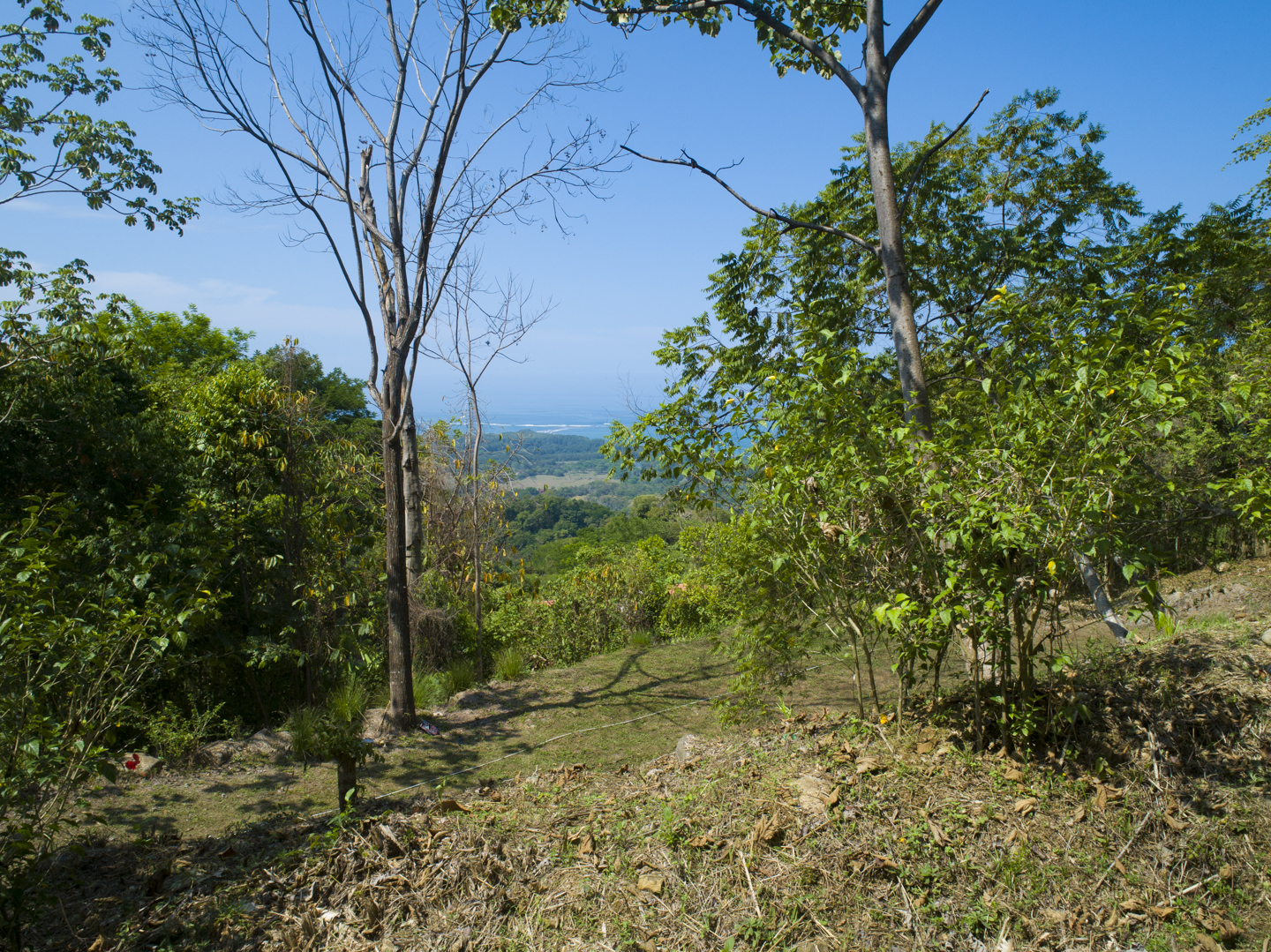 0 bed Land For Sale in Uvita, Puntarenas - thumb 25