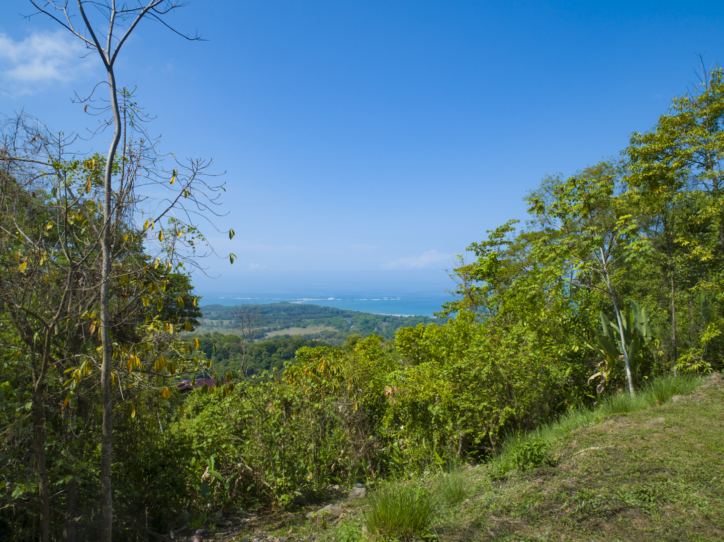 0 bed Land For Sale in Uvita, Puntarenas - thumb 27