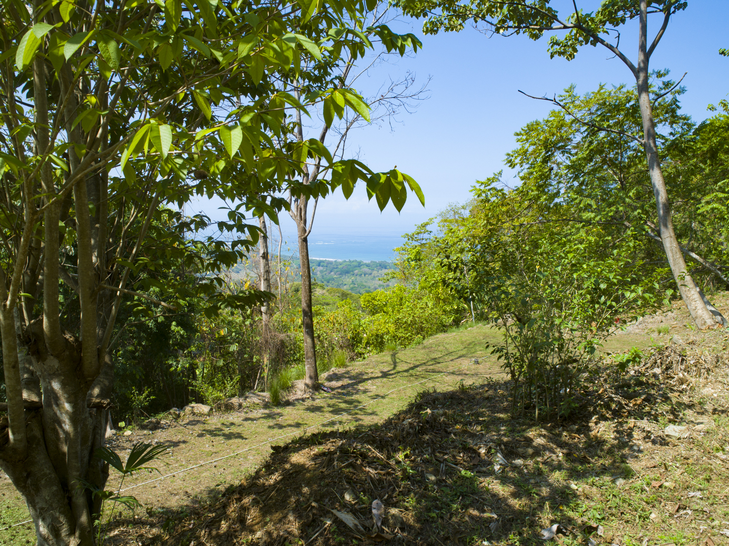 0 bed Land For Sale in Uvita, Puntarenas - thumb 28