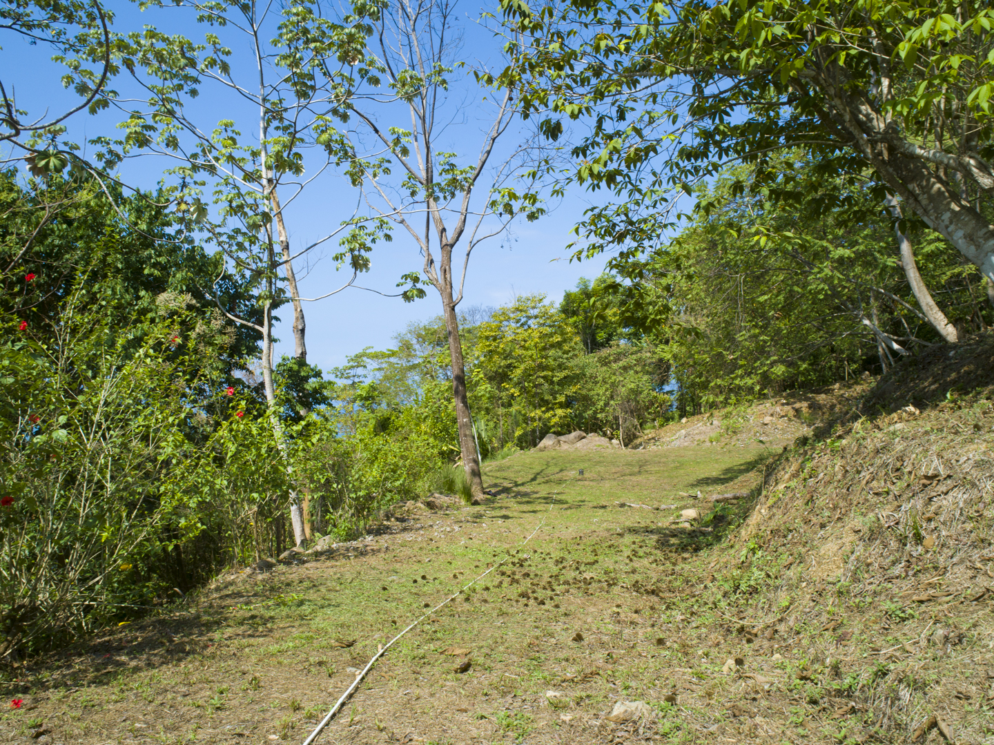 0 bed Land For Sale in Uvita, Puntarenas - thumb 20