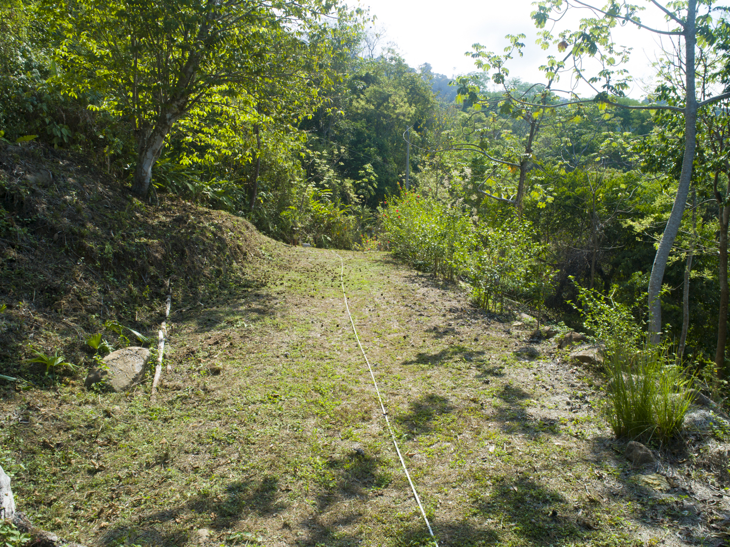 0 bed Land For Sale in Uvita, Puntarenas - thumb 24