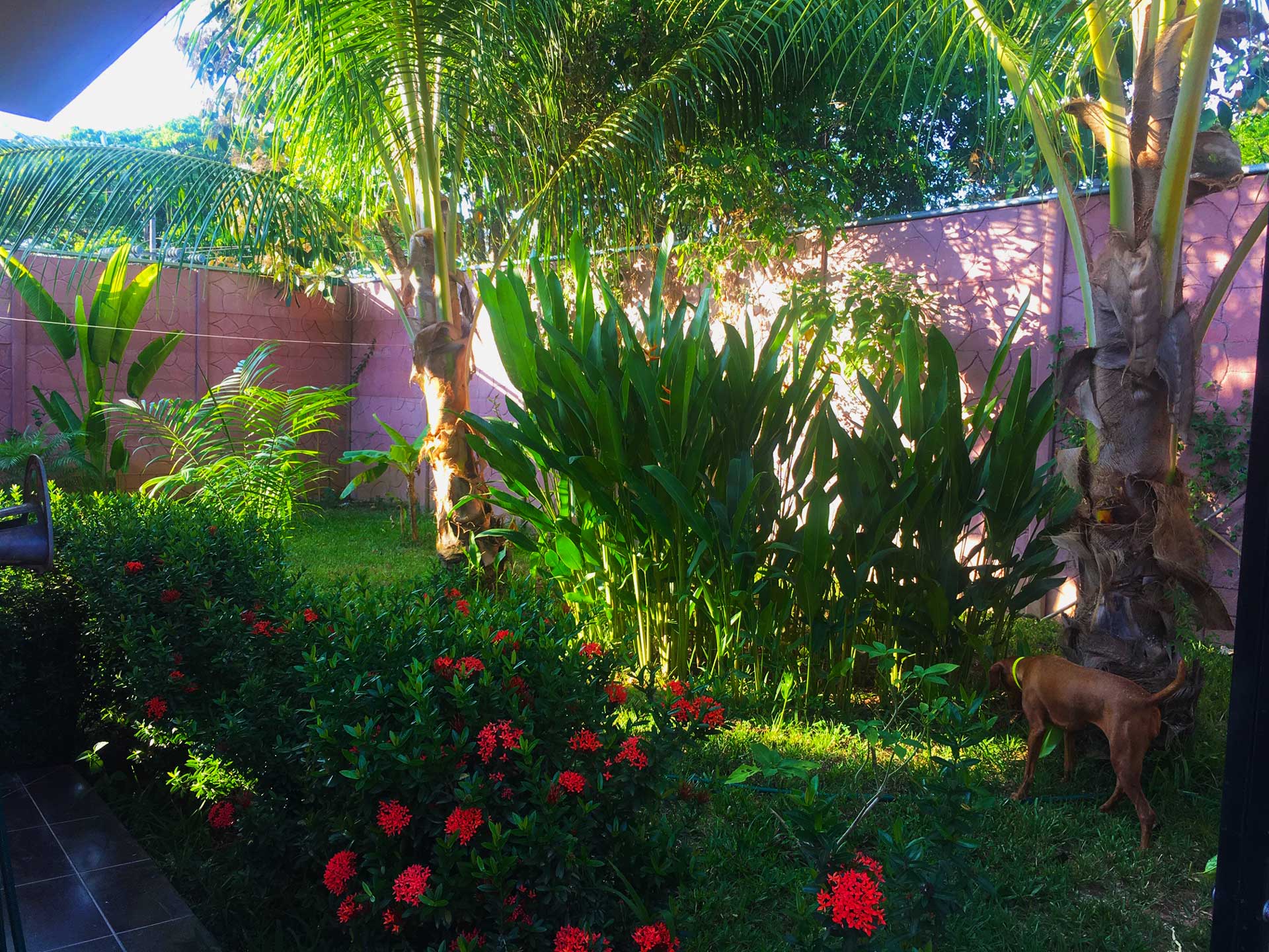 2 bed Single Family Homes For Sale in Esterillos, Puntarenas - thumb 18
