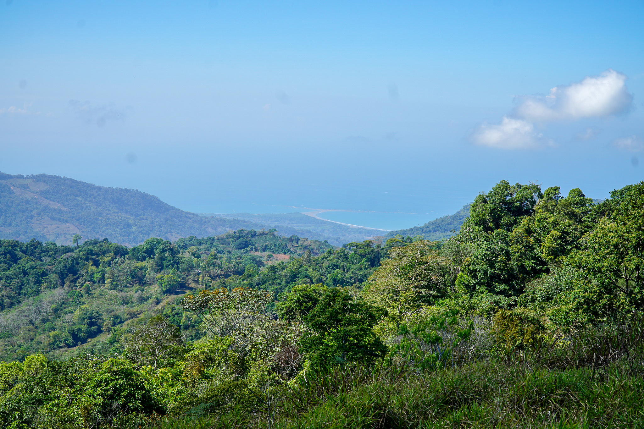 0 bed Land For Sale in Perez Zeledon, Puntarenas - thumb 2