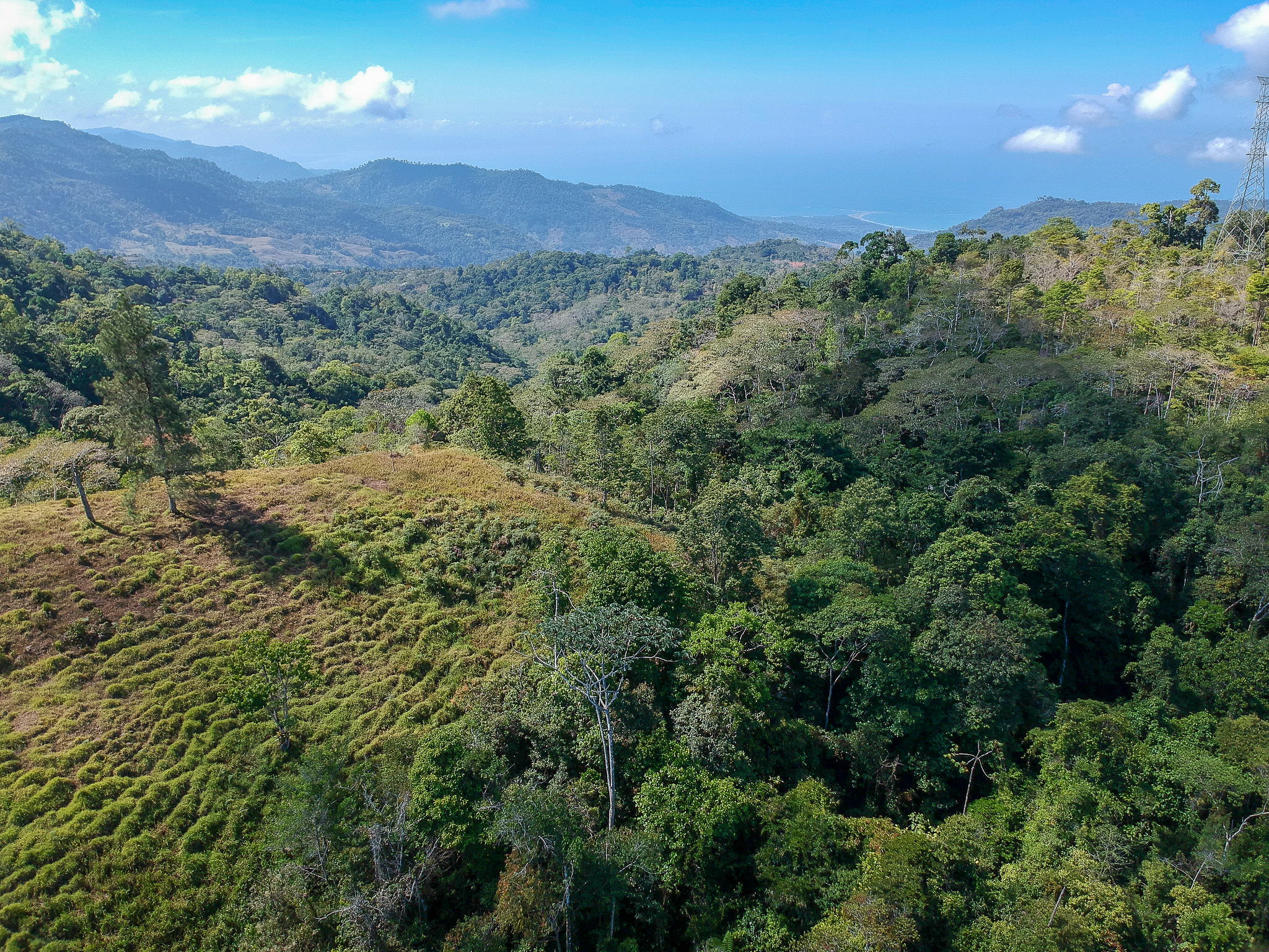 0 bed Land For Sale in Perez Zeledon, Puntarenas - thumb 5