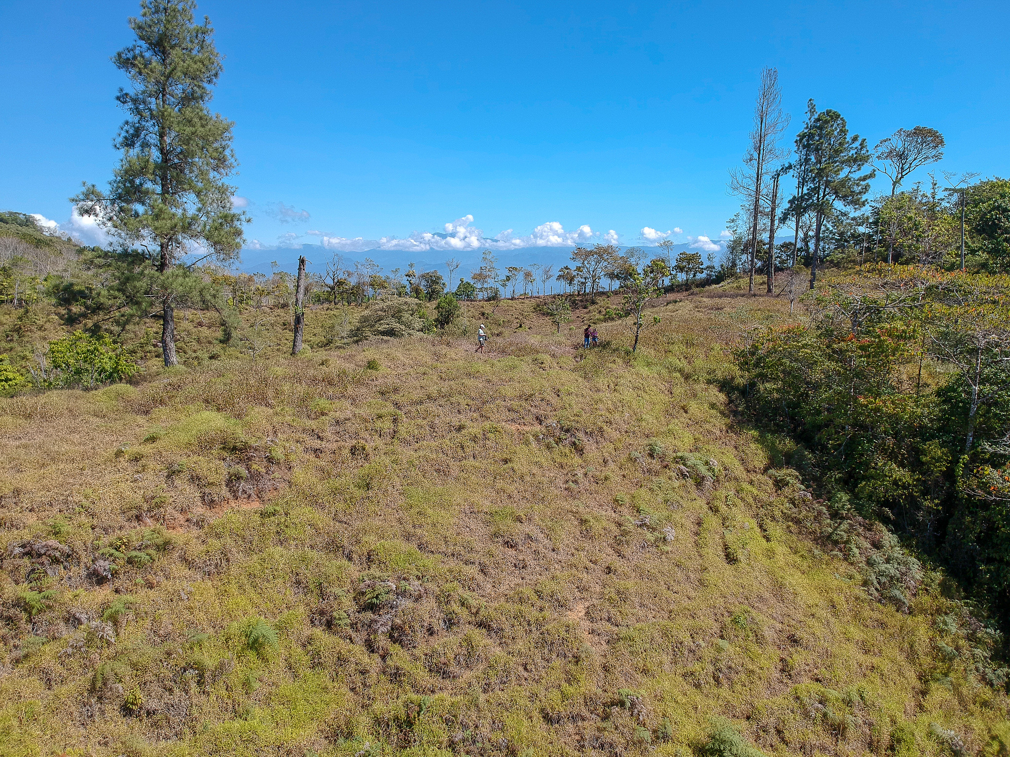 0 bed Land For Sale in Perez Zeledon, Puntarenas - thumb 4