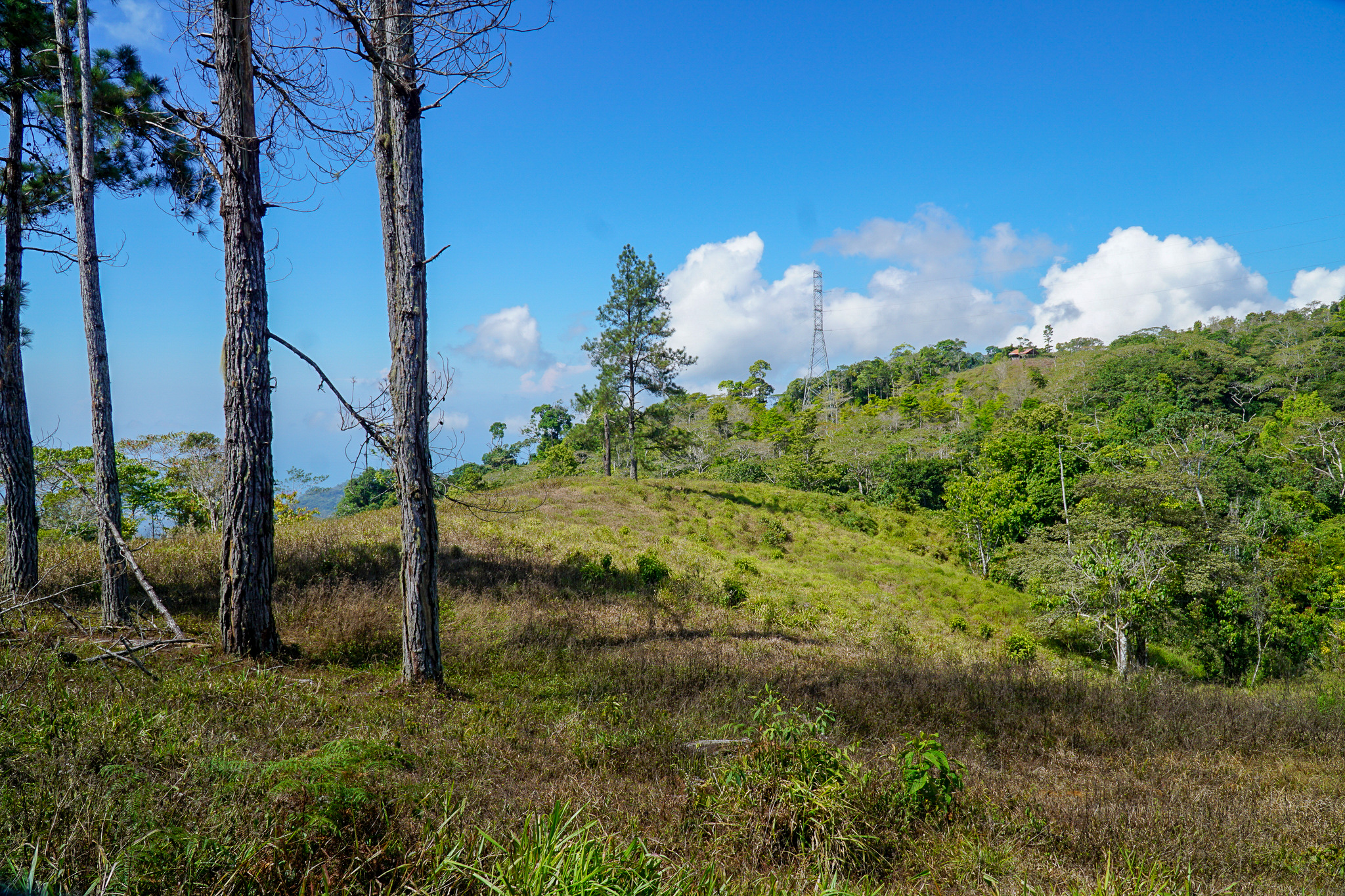 0 bed Land For Sale in Perez Zeledon, Puntarenas - thumb 11