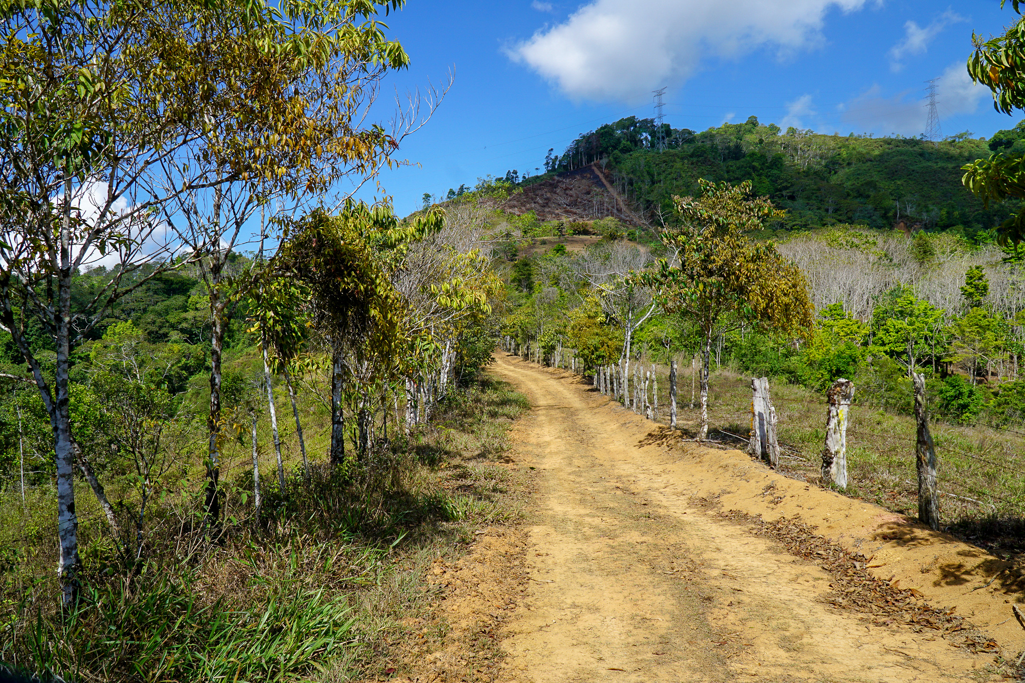 0 bed Land For Sale in Perez Zeledon, Puntarenas - thumb 6