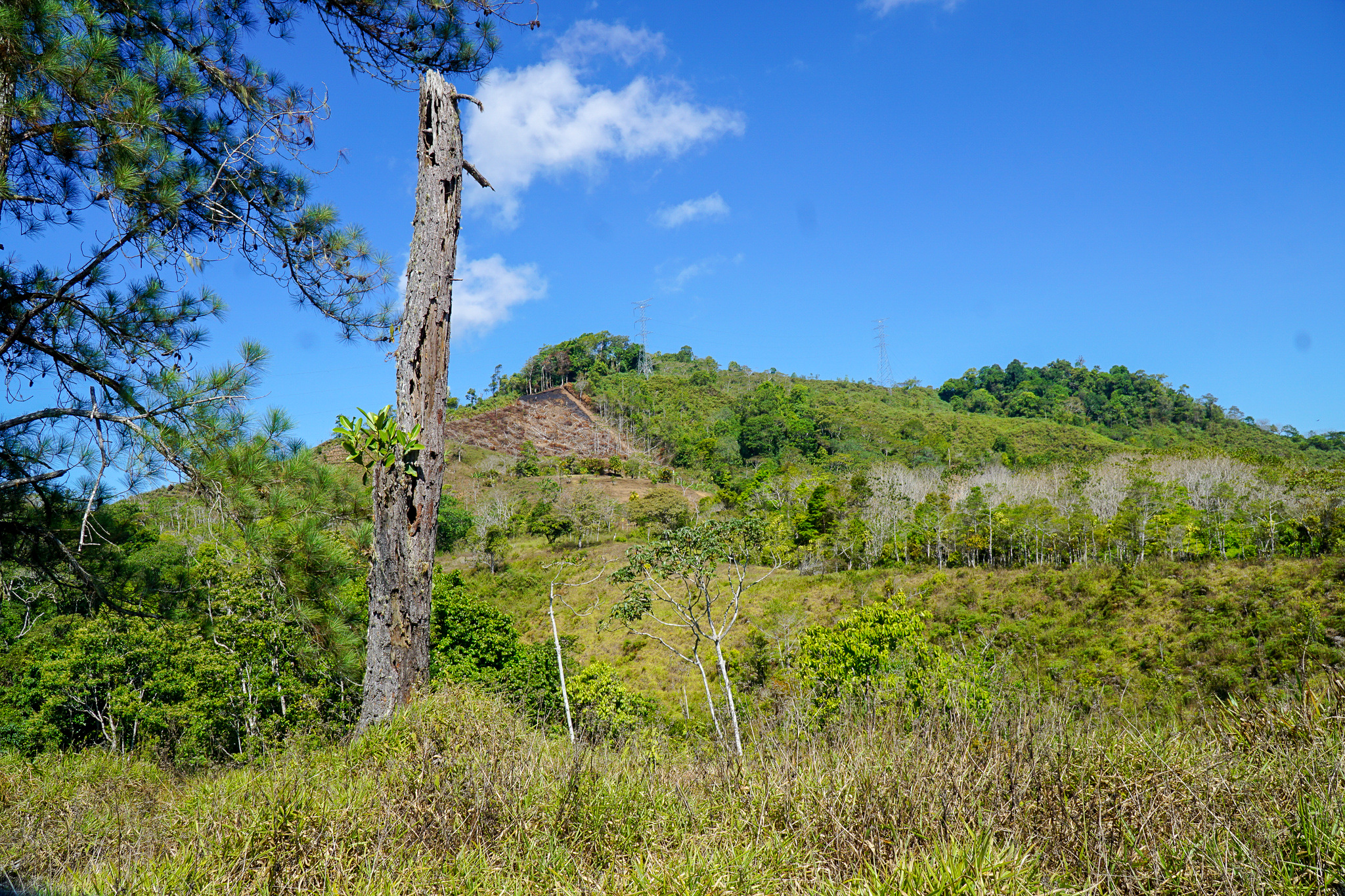 0 bed Land For Sale in Perez Zeledon, Puntarenas - thumb 3
