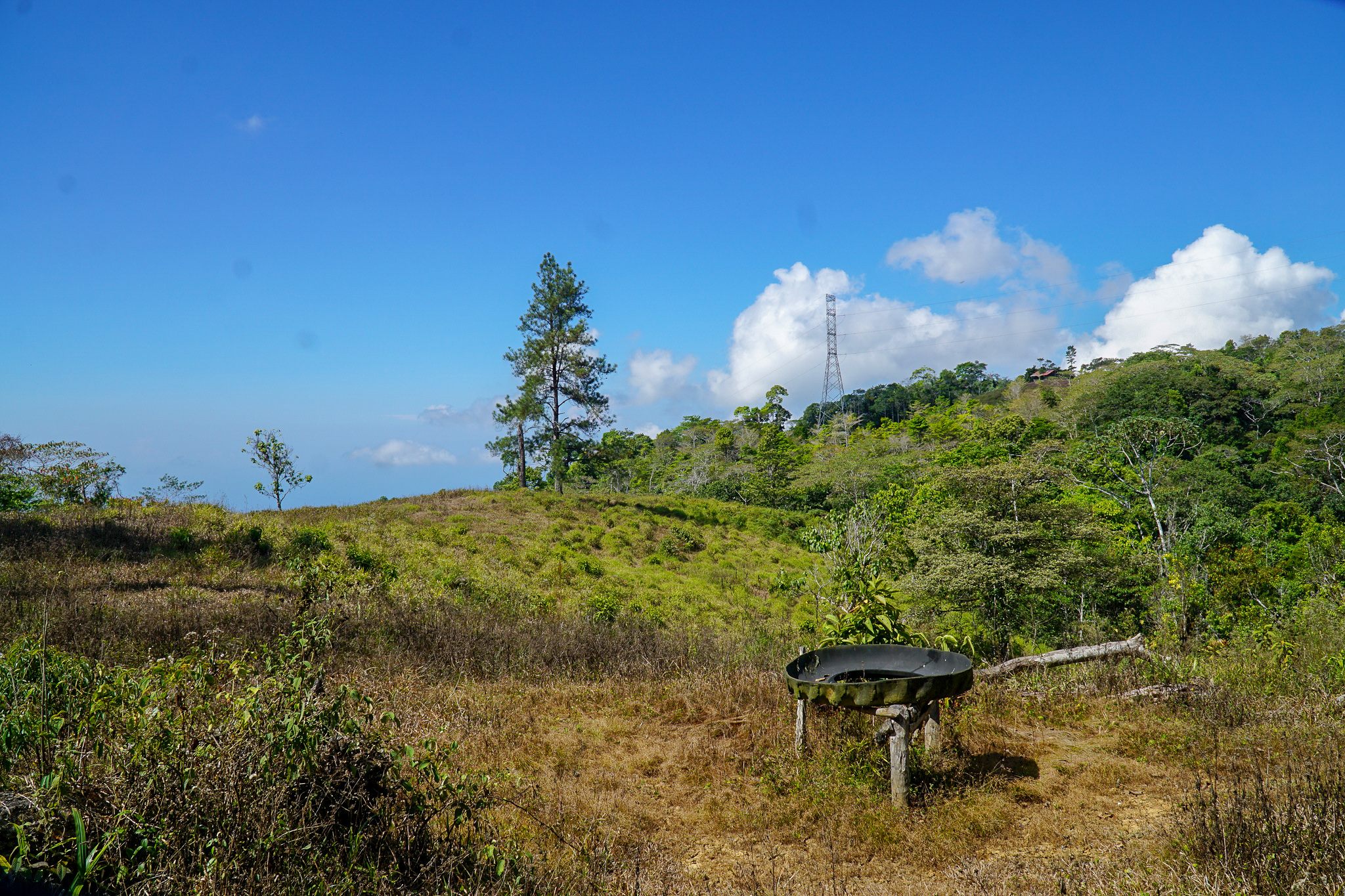 0 bed Land For Sale in Perez Zeledon, Puntarenas - thumb 14