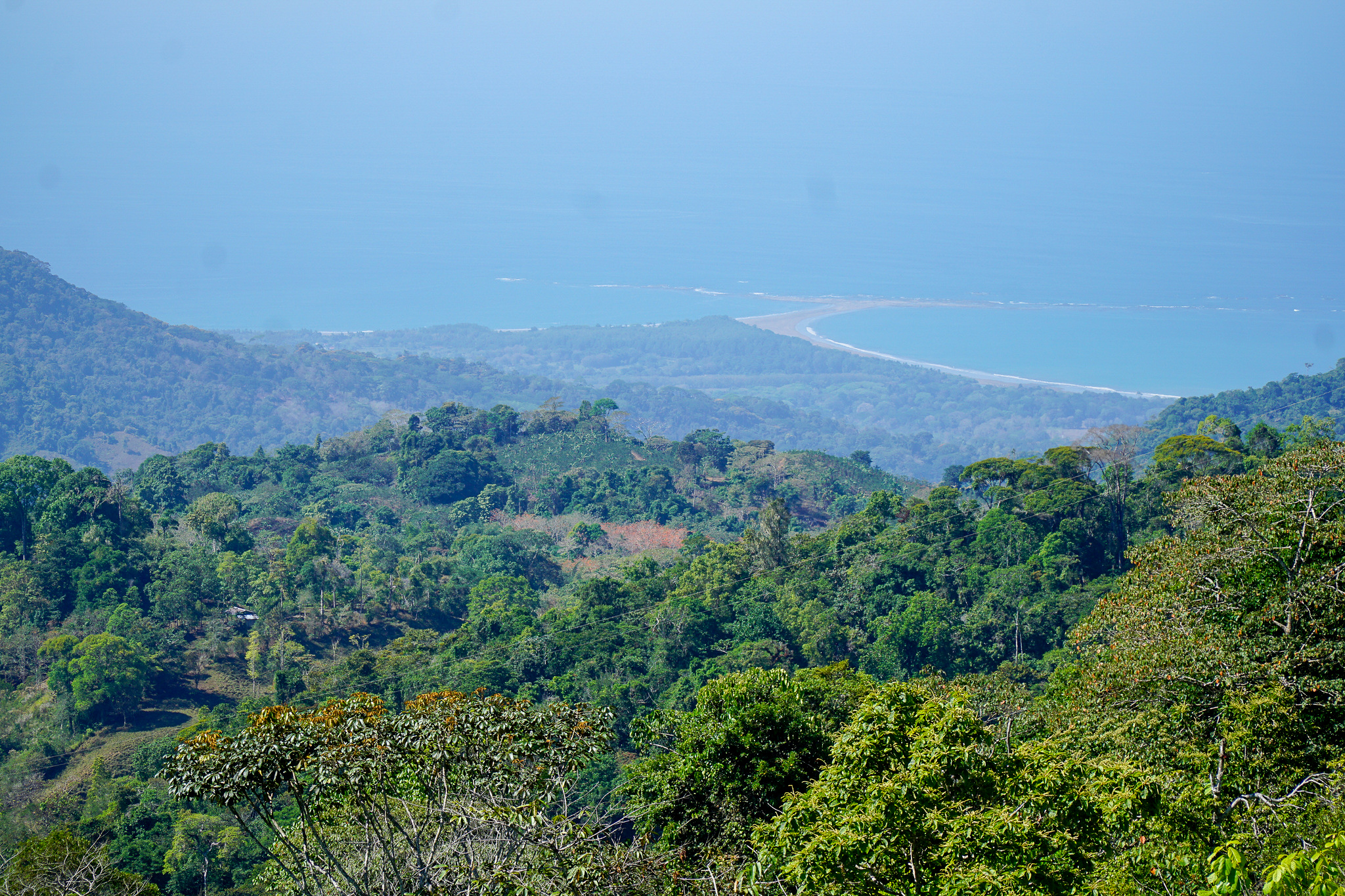 0 bed Land For Sale in Perez Zeledon, Puntarenas - thumb 1