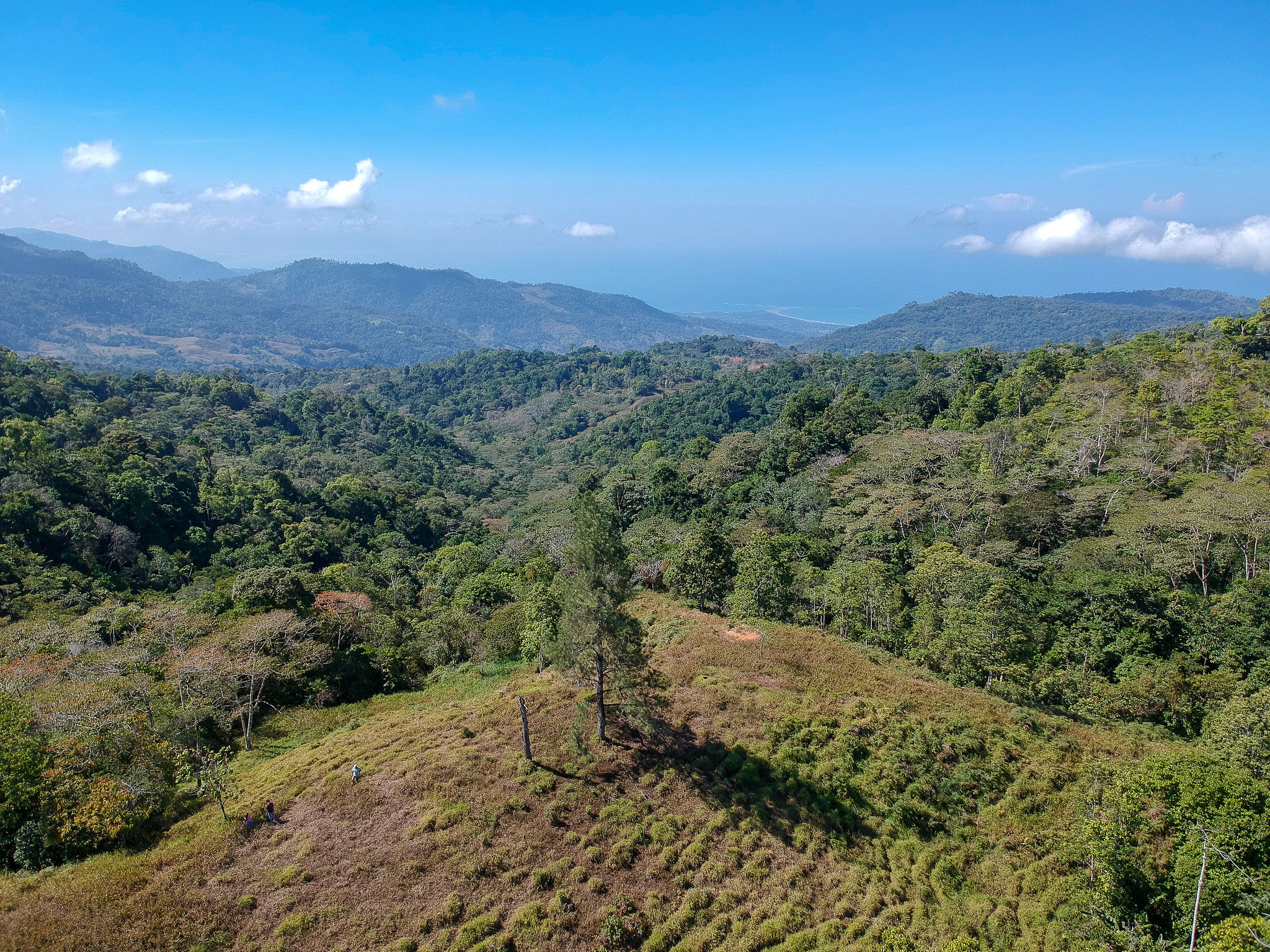 0 bed Land For Sale in Perez Zeledon, Puntarenas - thumb 7