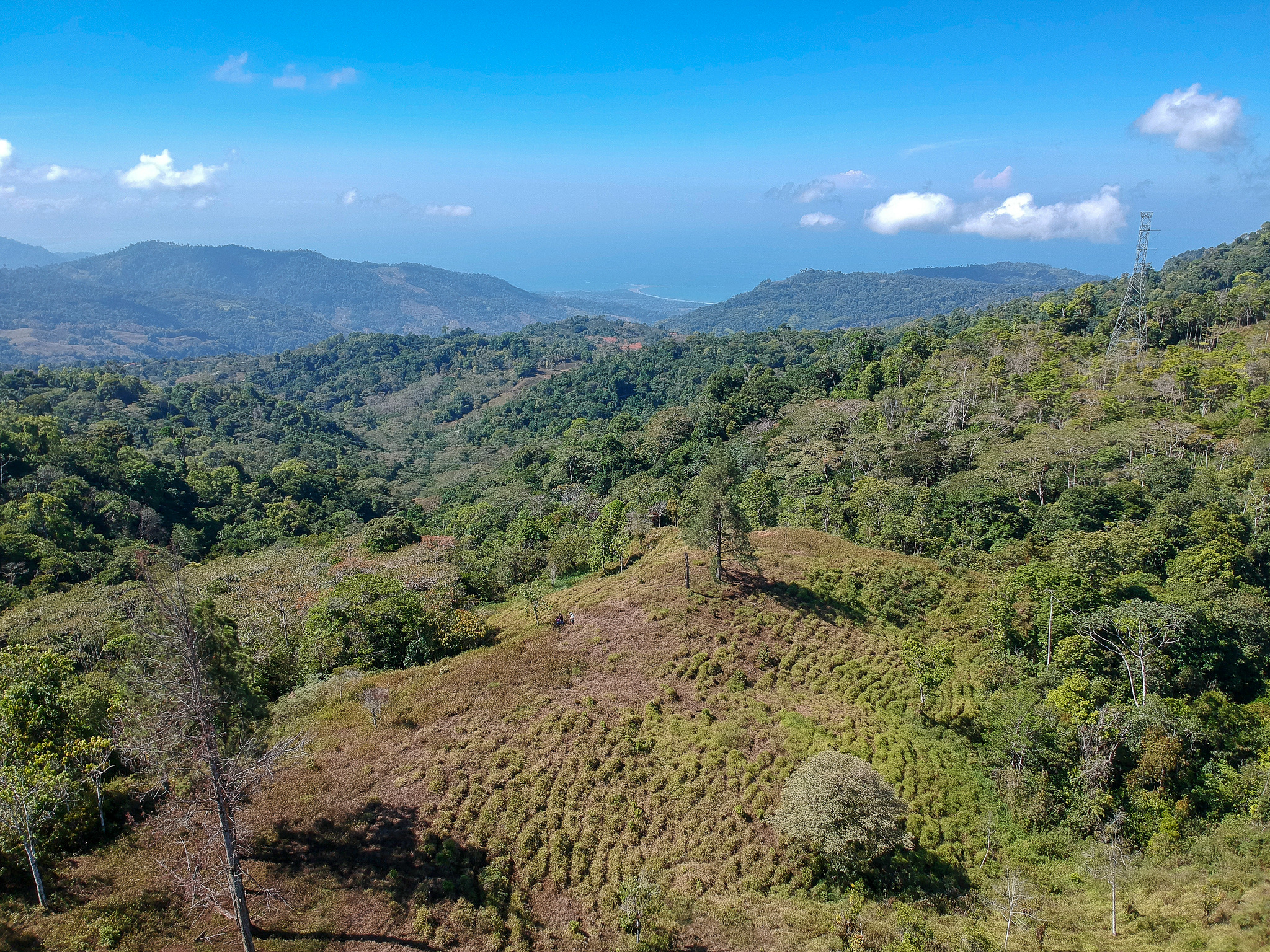 0 bed Land For Sale in Perez Zeledon, Puntarenas - thumb 13