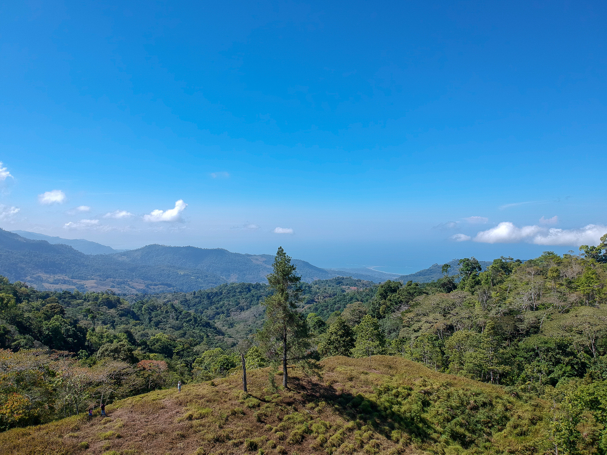 0 bed Land For Sale in Perez Zeledon, Puntarenas - thumb 12