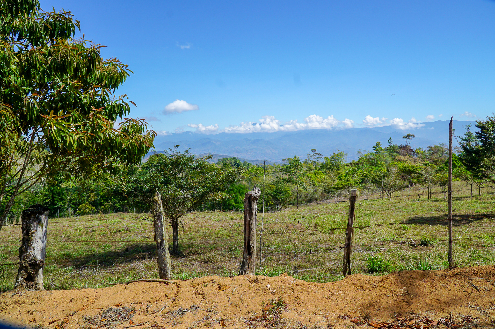 0 bed Land For Sale in Perez Zeledon, Puntarenas - thumb 9