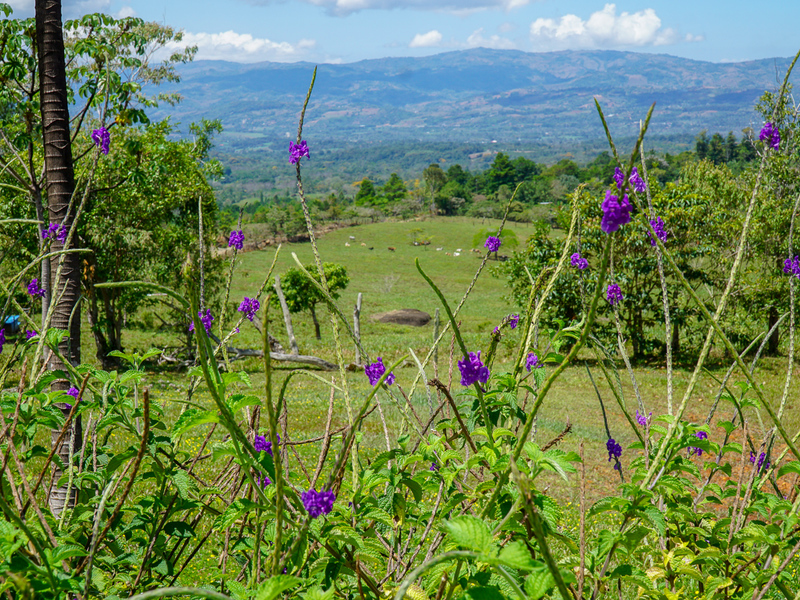 3 bed Land For Sale in Perez Zeledon, Puntarenas - 1