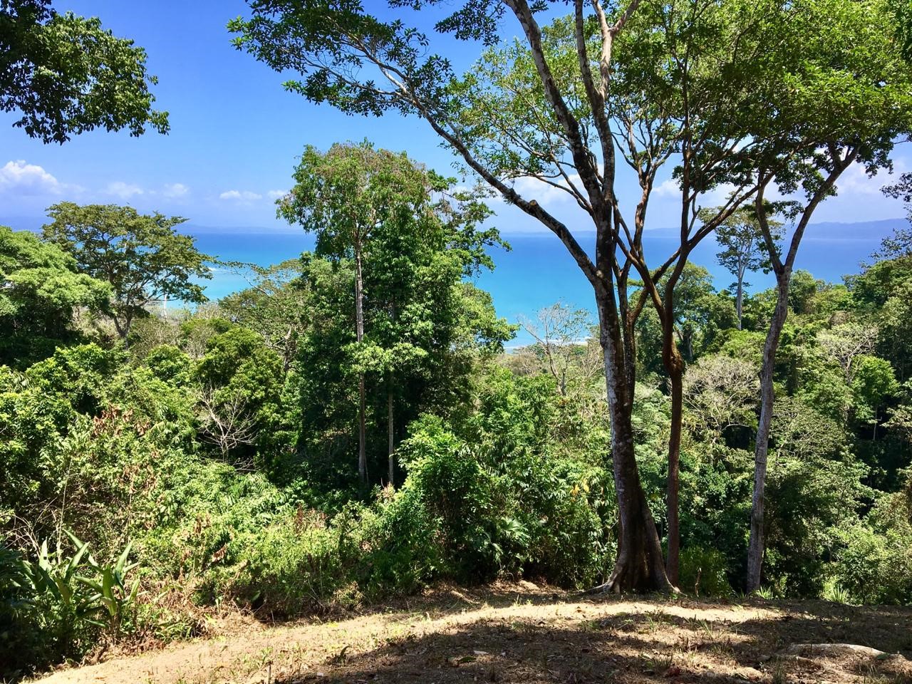 4 bed Single Family Homes For Sale in Cabo Matapalo, Puntarenas - thumb 17