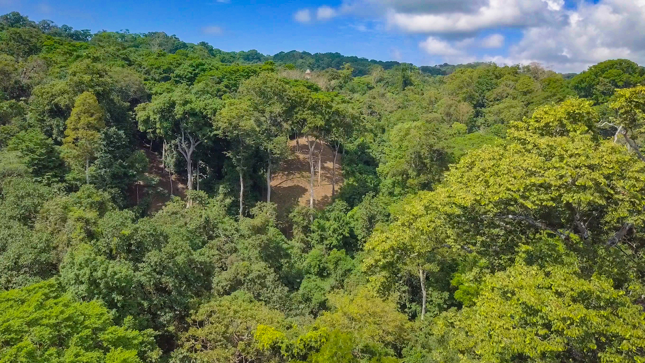 4 bed Single Family Homes For Sale in Cabo Matapalo, Puntarenas - thumb 15