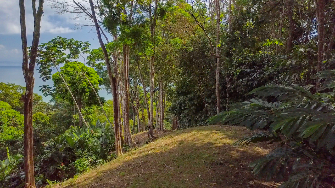 4 bed Single Family Homes For Sale in Cabo Matapalo, Puntarenas - thumb 16