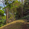  - 28.5 hectares in Cabo Matapalo with Home on Title Land