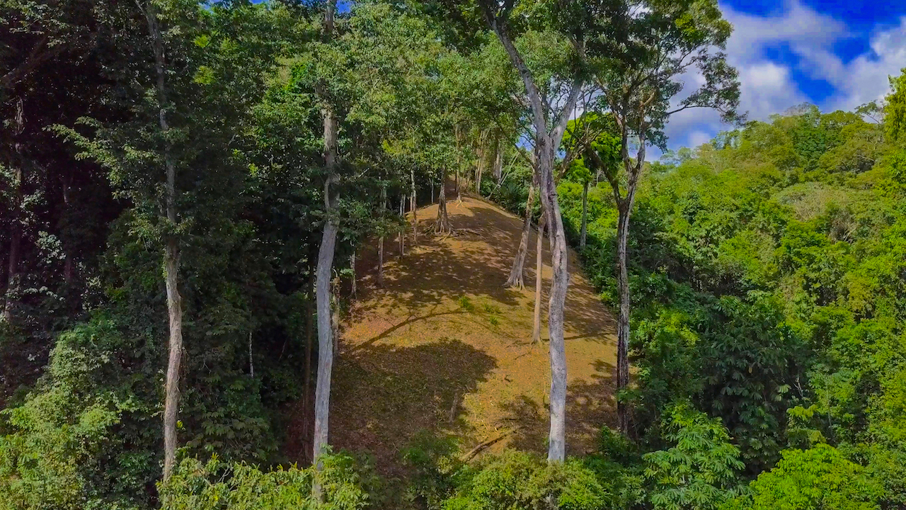 4 bed Single Family Homes For Sale in Cabo Matapalo, Puntarenas - thumb 14