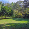  - 28.5 hectares in Cabo Matapalo with Home on Title Land