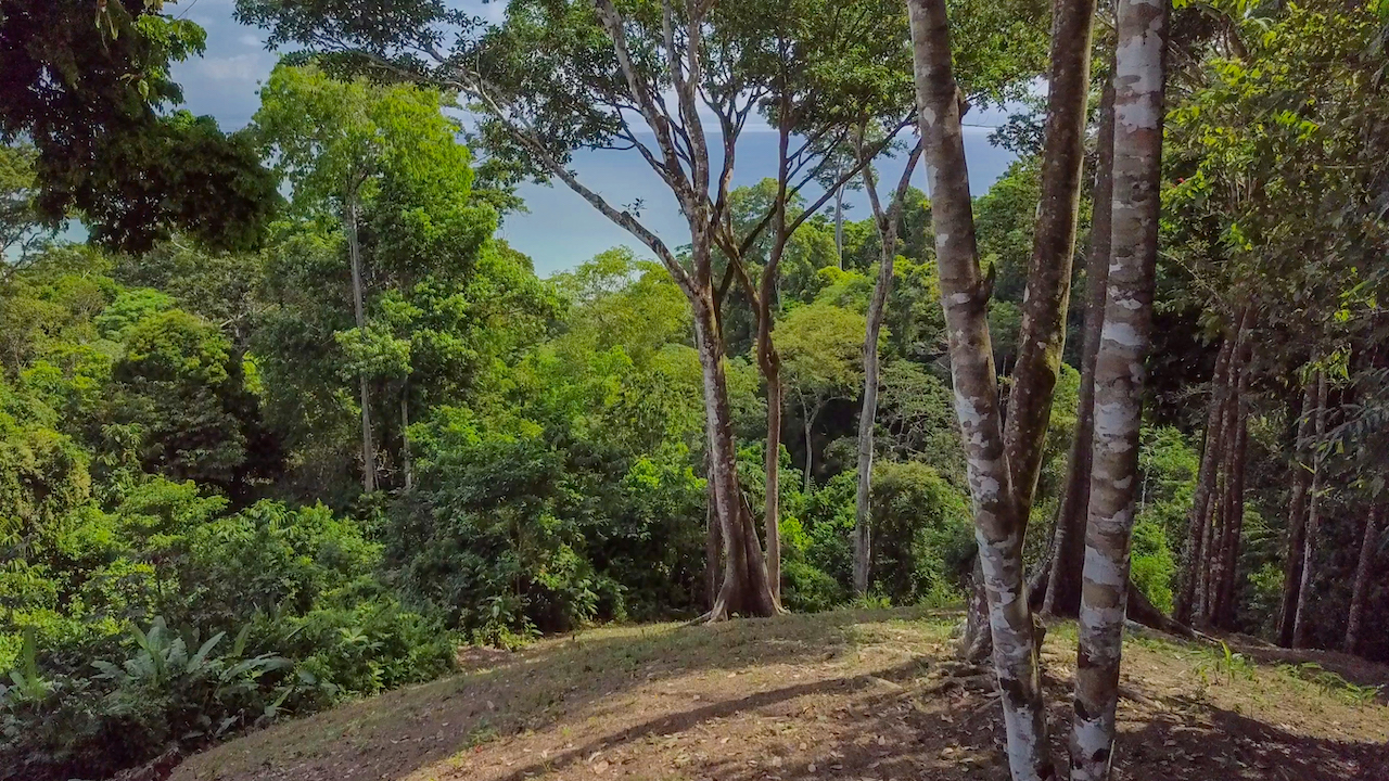 4 bed Single Family Homes For Sale in Cabo Matapalo, Puntarenas - thumb 12