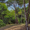  - 28.5 hectares in Cabo Matapalo with Home on Title Land