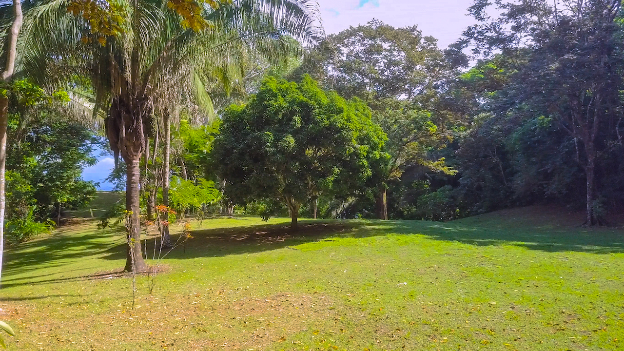 4 bed Single Family Homes For Sale in Cabo Matapalo, Puntarenas - thumb 7