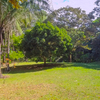  - 28.5 hectares in Cabo Matapalo with Home on Title Land